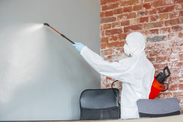  South Brooksville, FL Mold Removal Pros