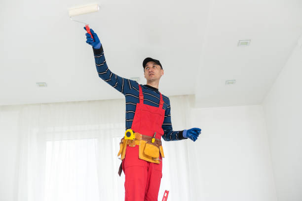 Reliable South Brooksville, FL Mold Removal Solutions