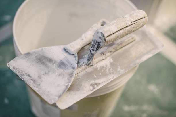Best Mold-Related Health Consultation  in South Brooksville, FL